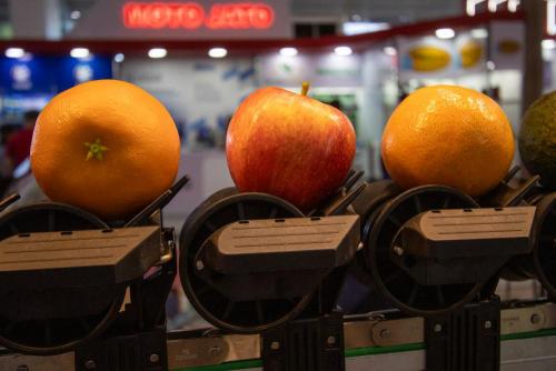 Hortitec 2025