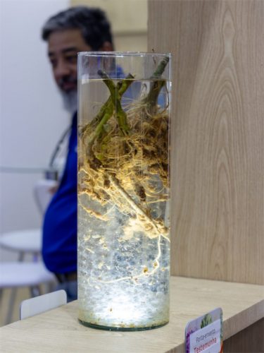 Hortitec 2026