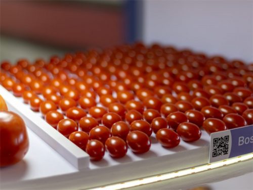 Hortitec 2026