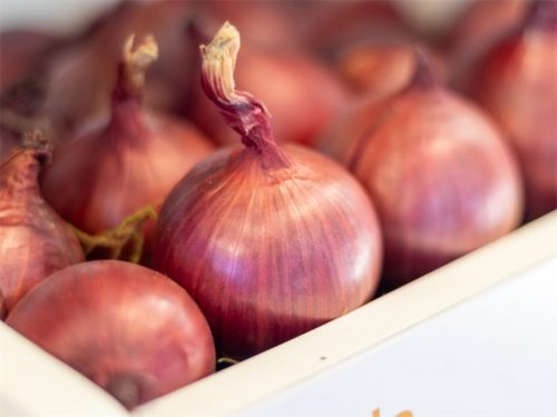 Hortitec 2026