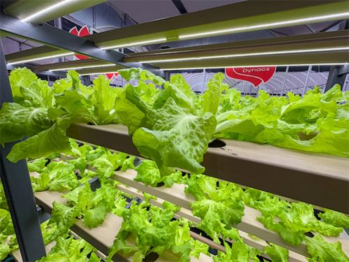 Hortitec 2026